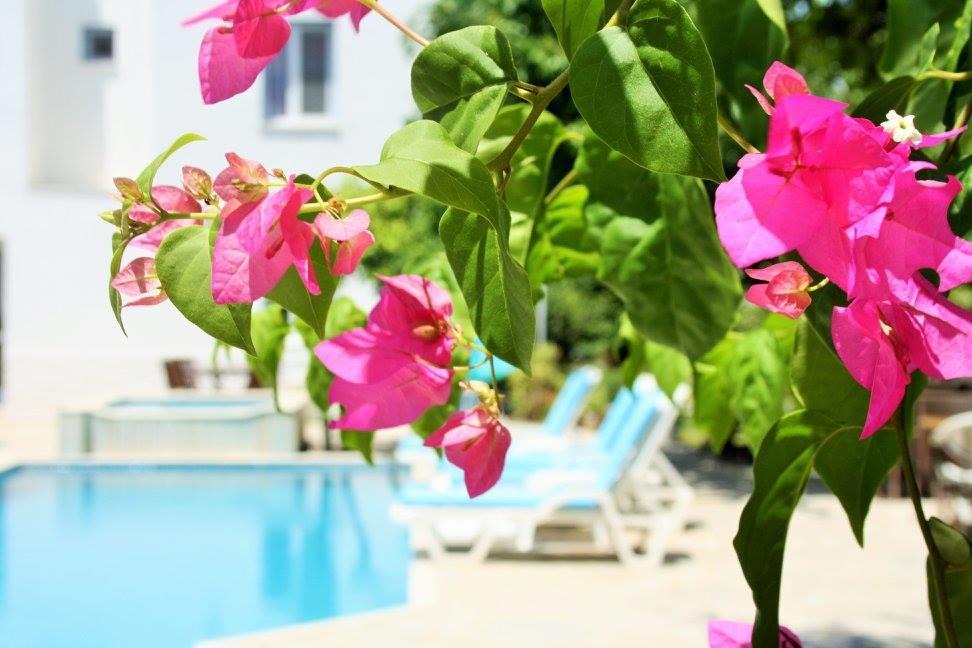 Parla Apart Hotel Çeşme 외부 사진